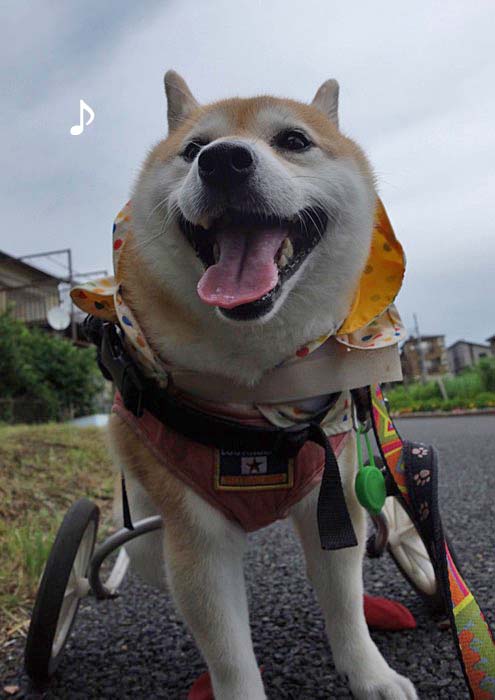 7日ブログ２