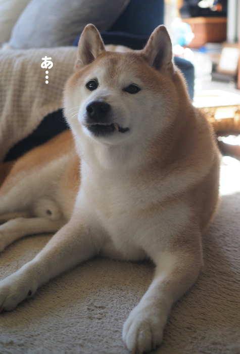5日夕ブログ２