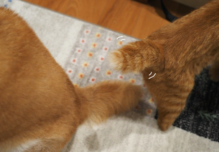 28日ブログ４
