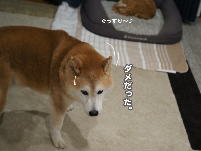 12日夕ブログ２１