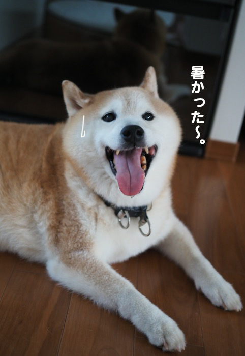 1日夕ブログ１０