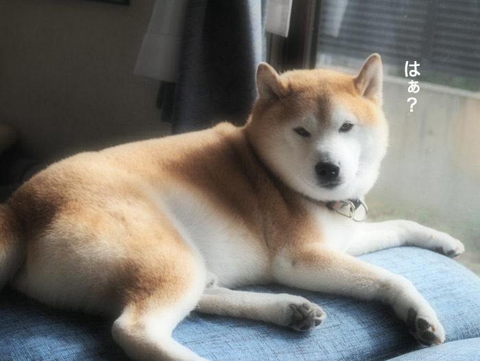8日夜ブログ８