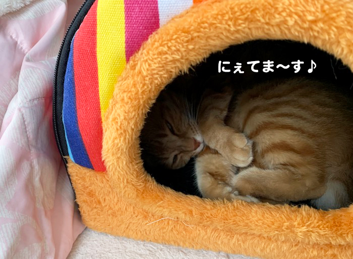 7日夕ブログ６