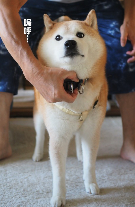 24日ブログ４