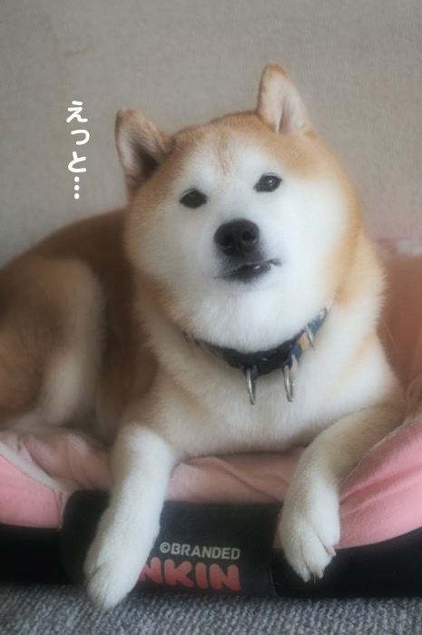 2日夕ブログ２