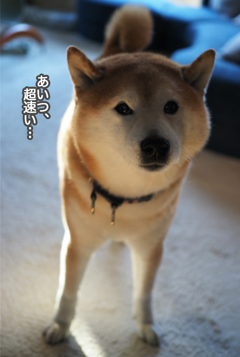 16日夜ブログ１２