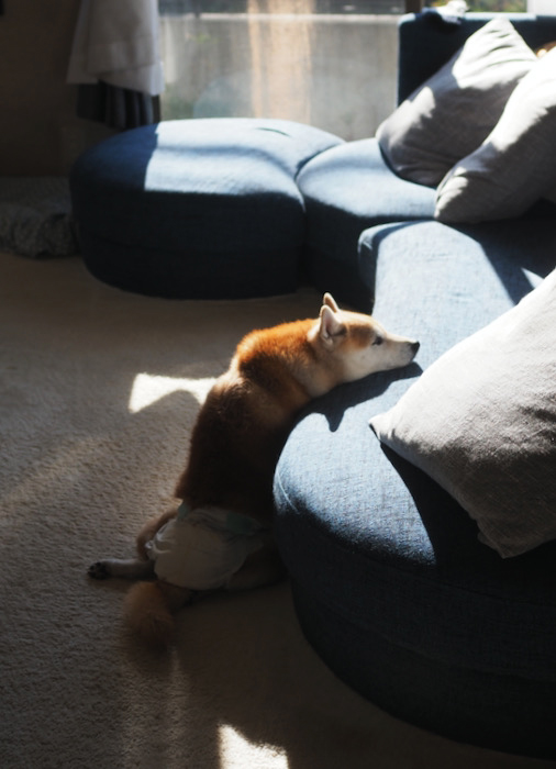 3日ブログ２