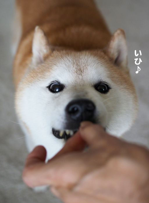 14日夕ブログ１０