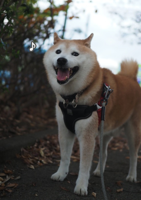 24日夕ブログ４