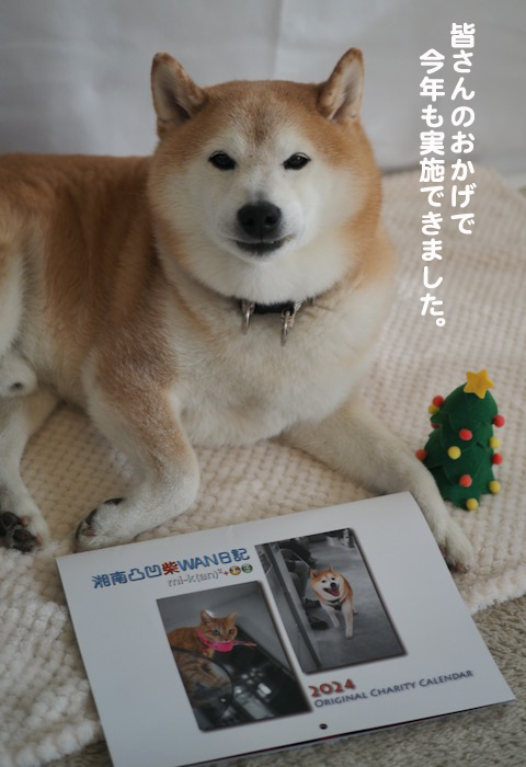 20日夕ブログ７
