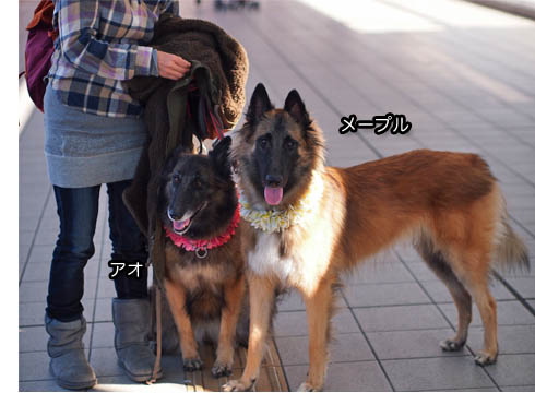 10日ブログ7.jpg