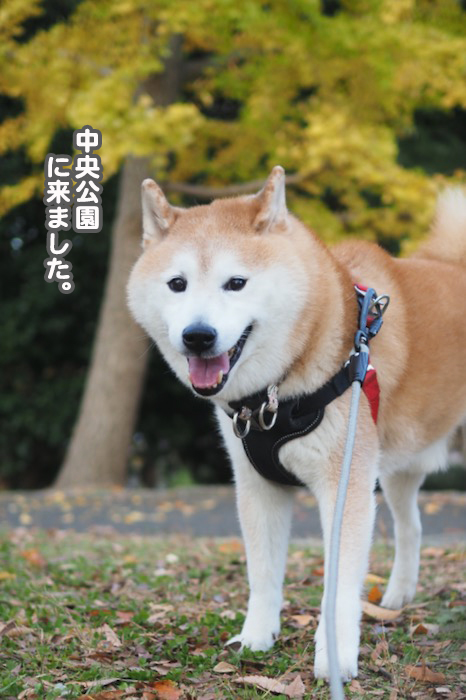 12日夕ブログ２