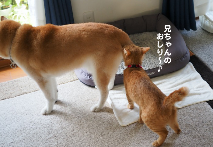 10日夕ブログ3