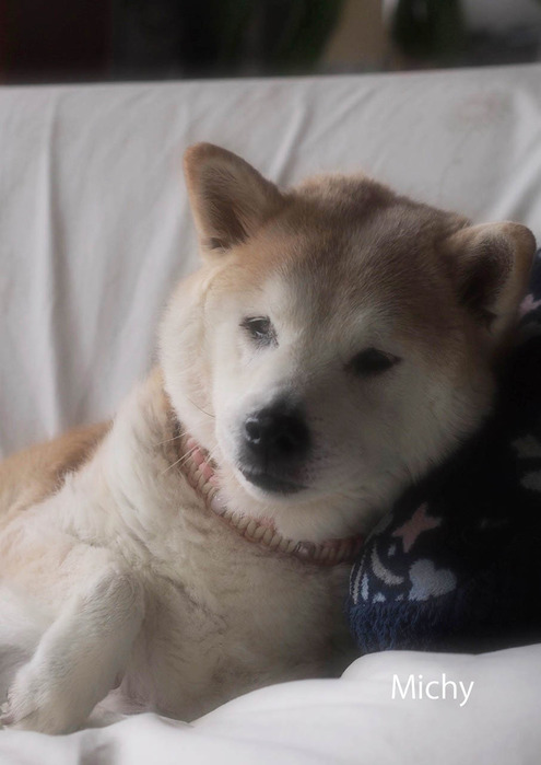 14日ブログ10