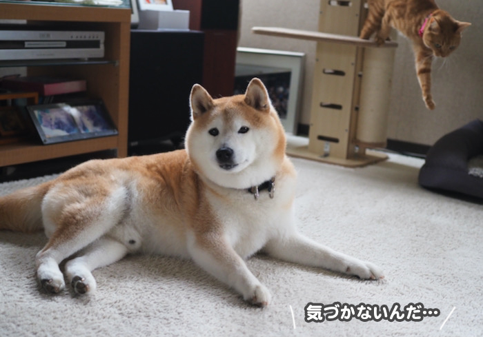 27日夕ブログ４