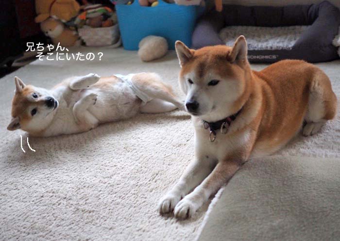 23日ブログ５