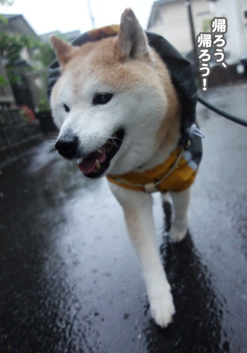 2日夕ブログ７
