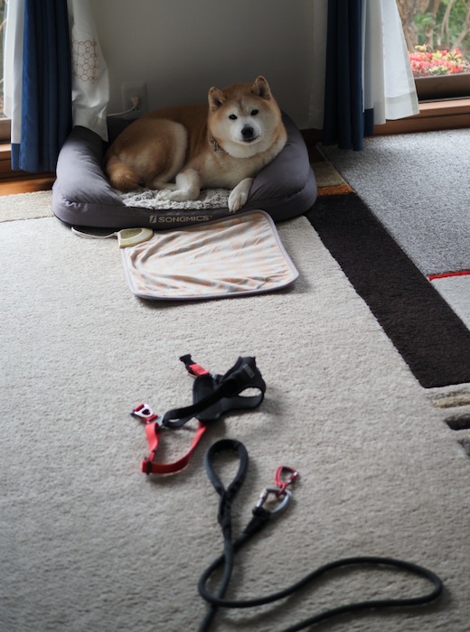 8日ブログ１