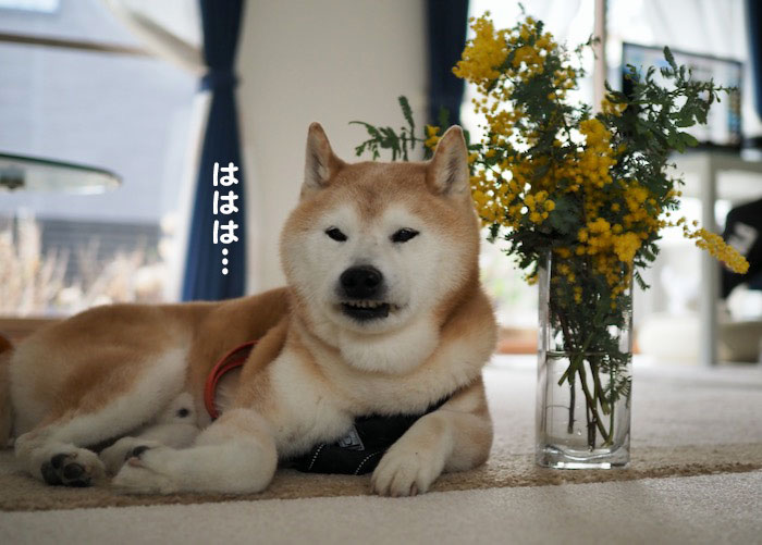 11日ブログ６