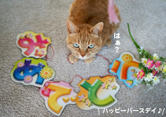 16日ブログ２
