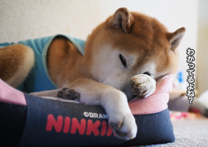 2日夜ブログ３