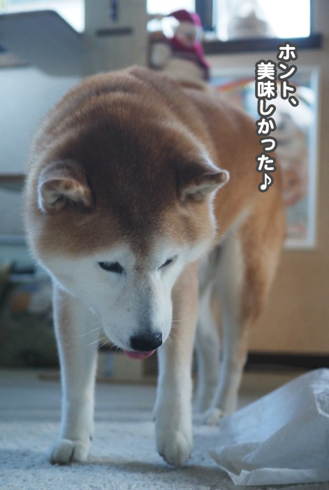 26日夕ブログ１４