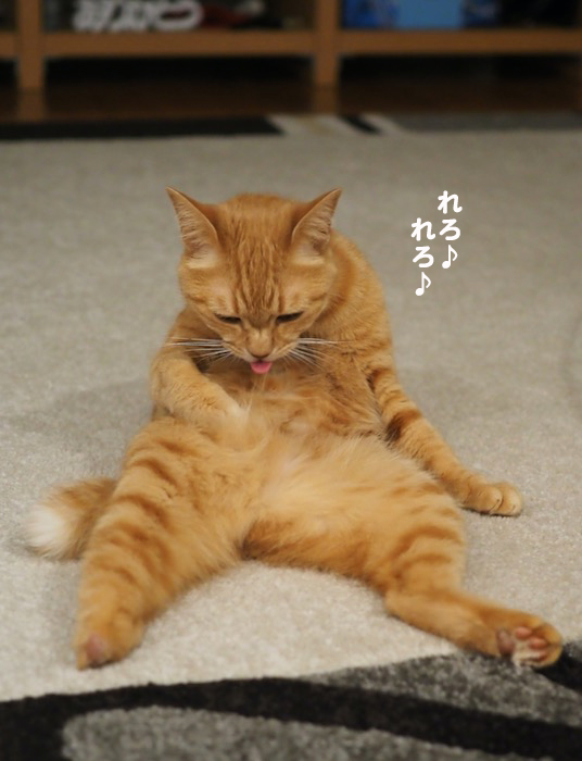 19日夜ブログ４-(1)
