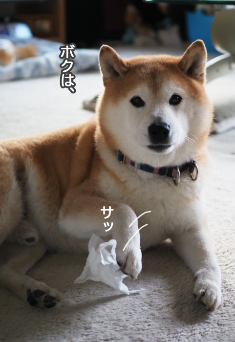 16日夜ブログ６