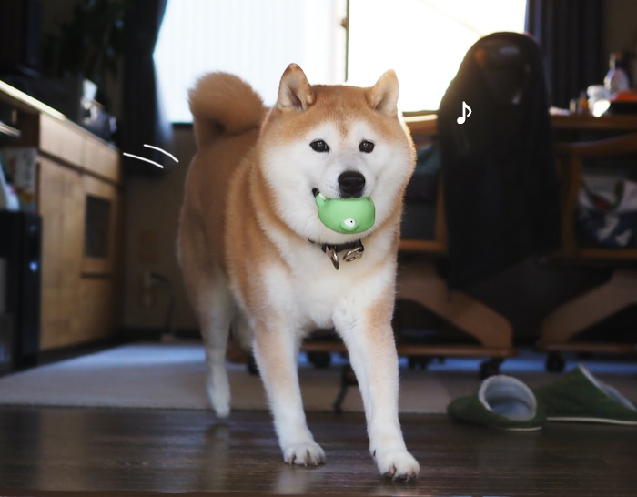 20日夕ブログ９