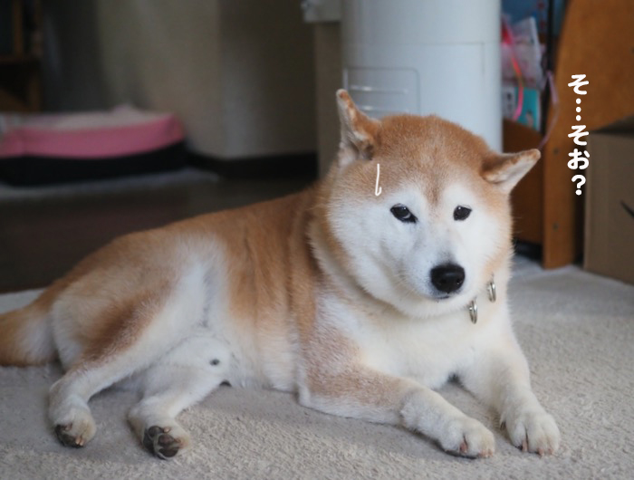 30日ブログ２