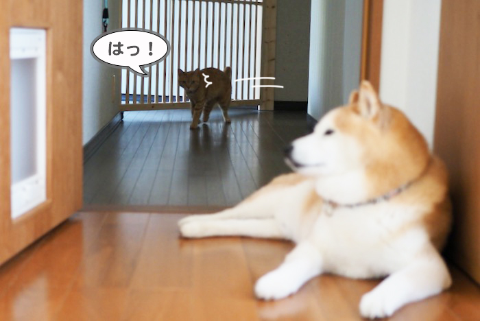8日夕ブログ４