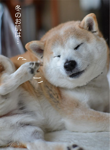 25日ブログ5.jpg