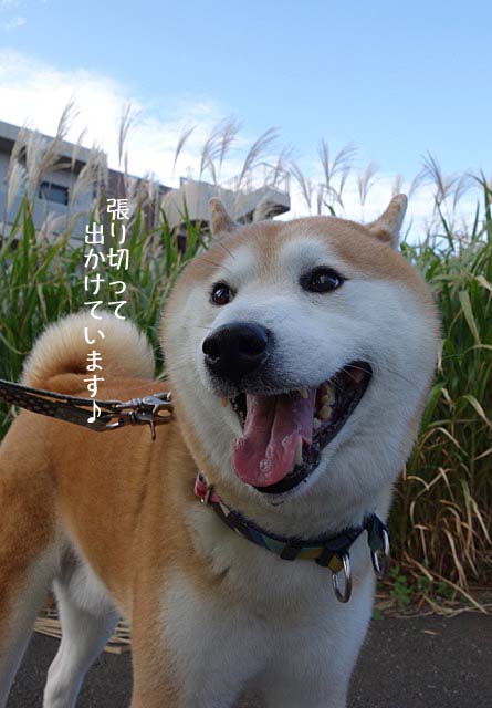 21日ブログ2