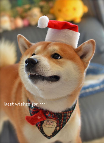 24日ブログ14.jpg