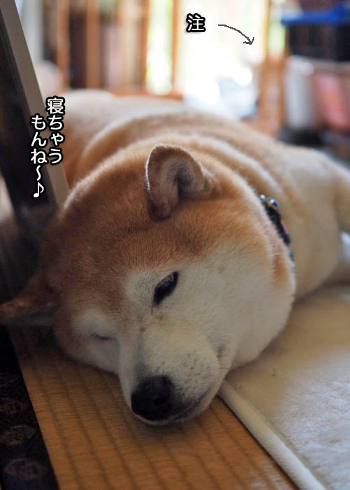 26日午後ブログ4