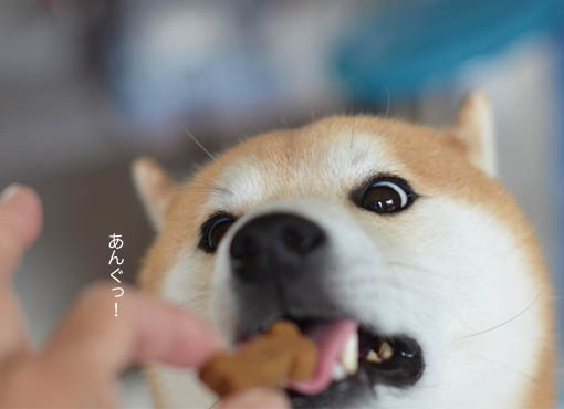 31日ブログ16.jpg