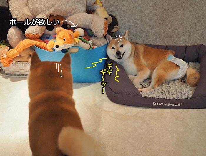 31日夜ブログ３
