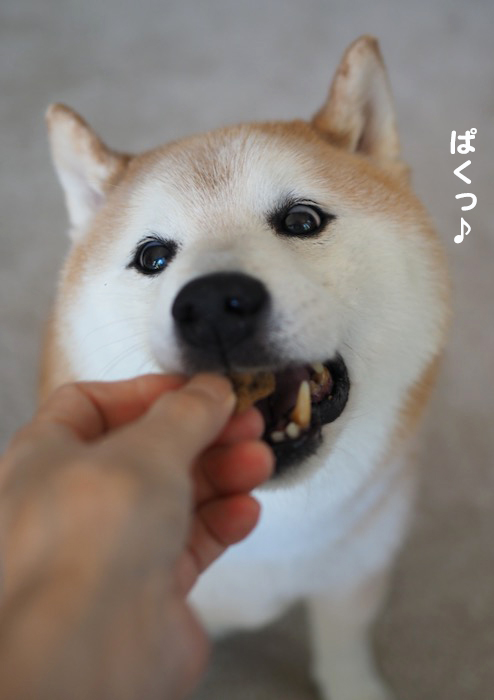 13日夕ブログ５
