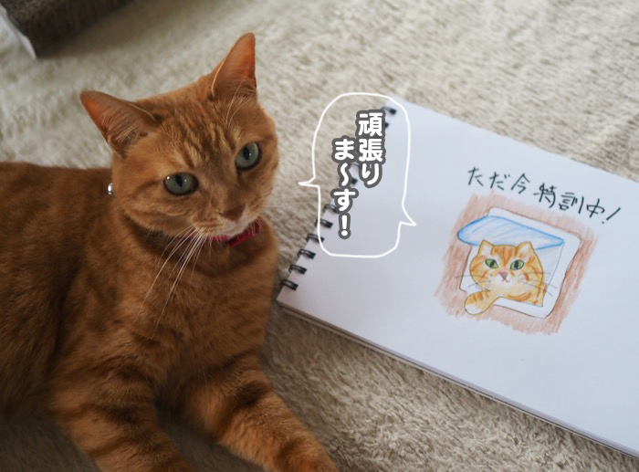 13日夕ブログ４