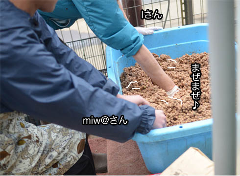 24日ブログ5.jpg