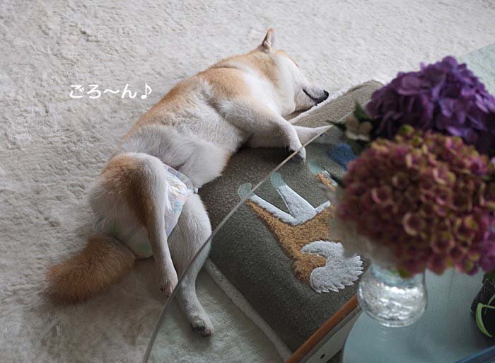 22日ブログ２