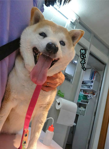 27日ブログ5.jpg