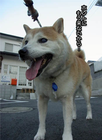 21日ブログ10.jpg