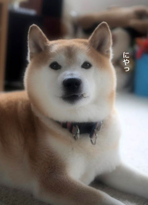 12日ブログ２
