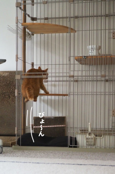 5日夕ブログ3