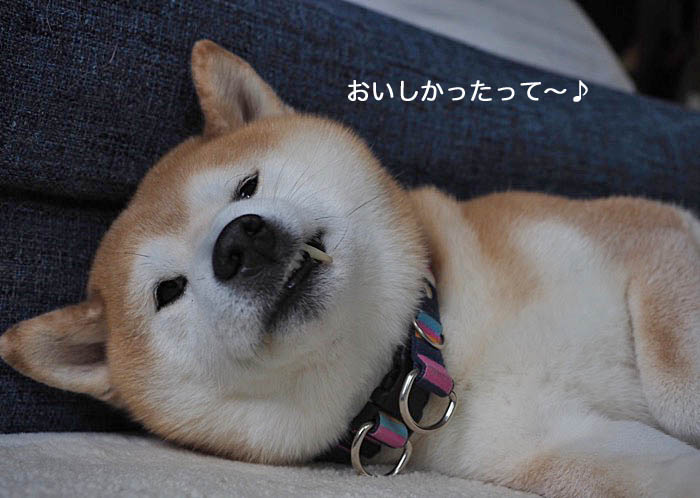 8日ブログ２