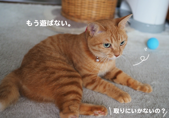 22日夕ブログ９