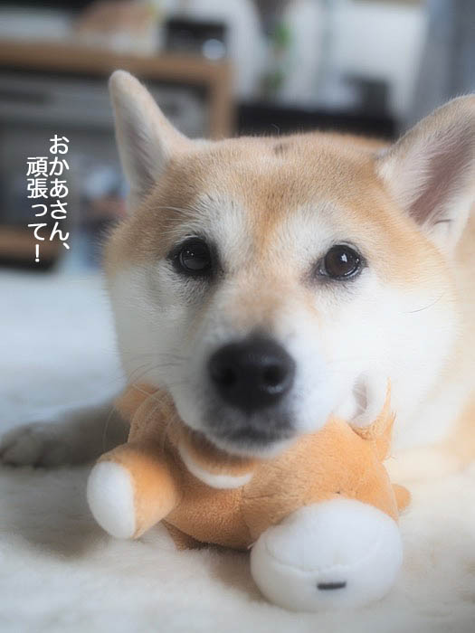 20日夜ブログ５