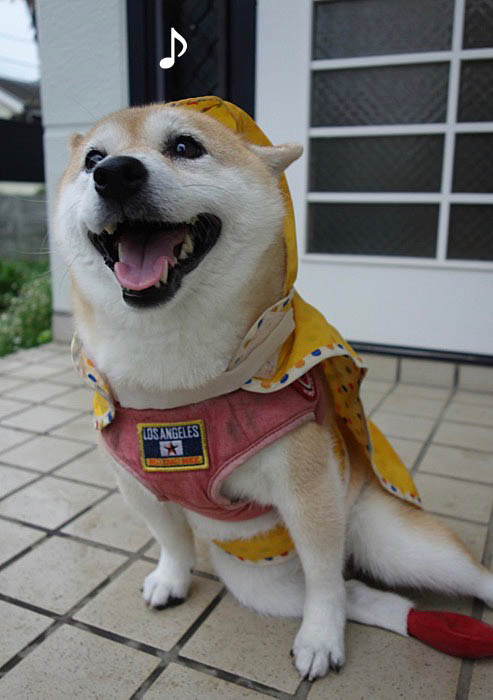 9日夜ブログ4