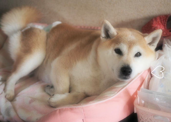 24日夜ブログ２